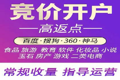 SEM推广竞价案例：提升广告投放效果